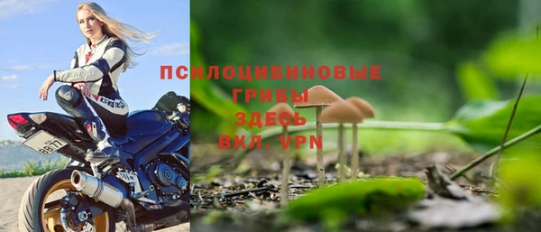 бошки Ладушкин