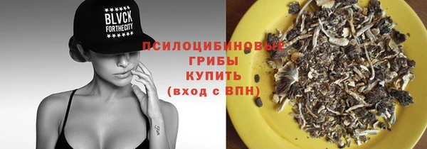 PSILOCYBIN Лагань