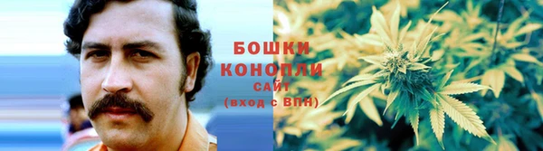 бошки Ладушкин