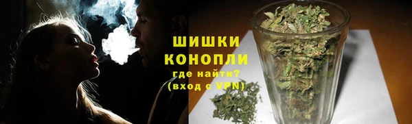 PSILOCYBIN Лагань