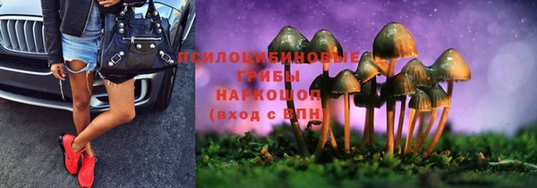 гидра Лихославль