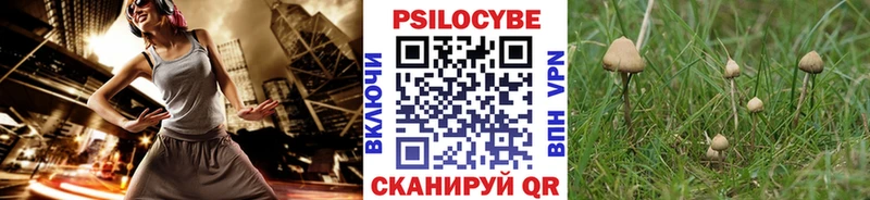 хочу   Михайловка  Галлюциногенные грибы MAGIC MUSHROOMS 