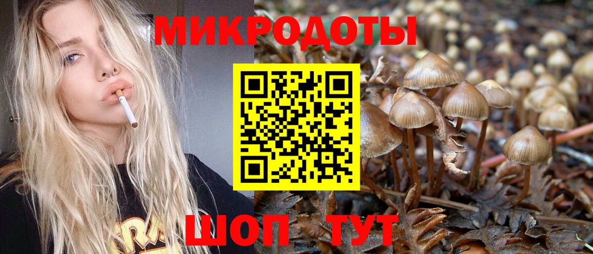 Псилоцибиновые грибы GOLDEN TEACHER  Вход с VPN  Михайловка 